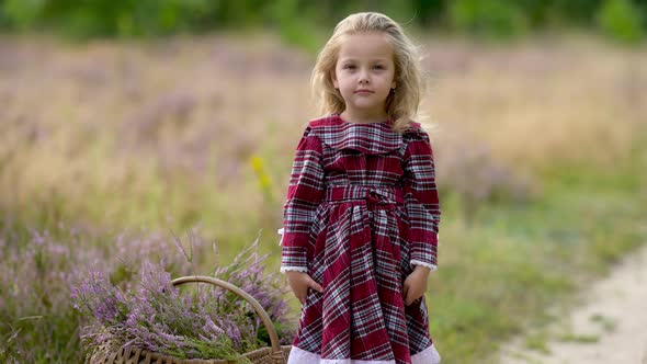 Cute little girl in a dress walks Outdoors in a green park.