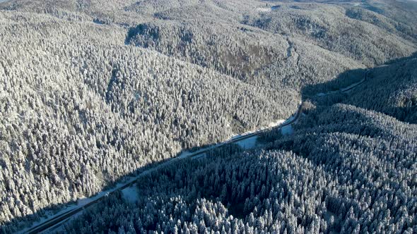 Snowy road through trees and forest