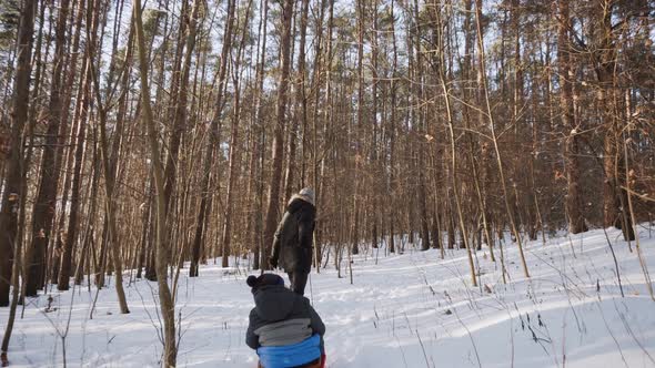 Man Pushing Child in Warm Jacket on Red Sled Through Sunny Winter Forest