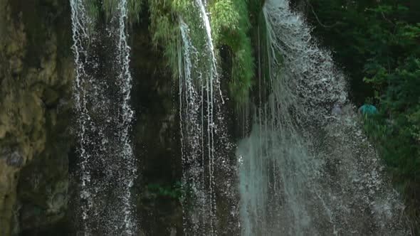 Forest Waterfall Streams