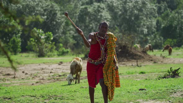 Maasai man throwing a rungu
