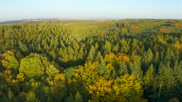 Aerial Drone Shot  a Forest in a Rural Area  Drone Flies Forward