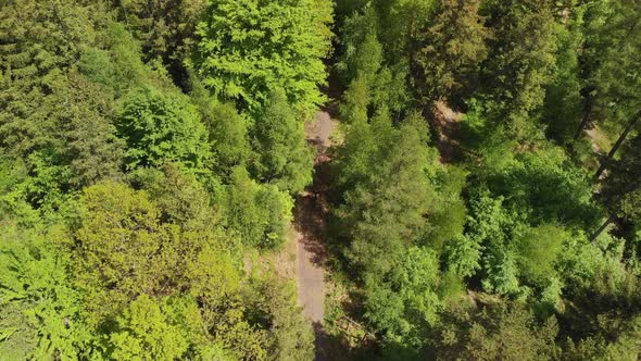 Aerial top-down shot of the mountain bike rider on the trail in the woods
