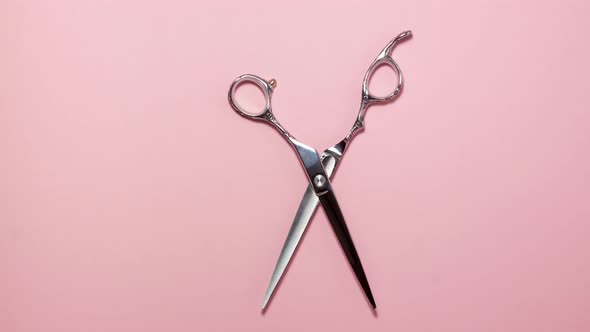 Stop motion animation flat lay of professional hair cutting shears on pink background