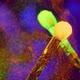 Glowing Ultraviolet Powder on a Makeup Brushes Hitting Each Other and Flying Away on Neon Background - VideoHive Item for Sale