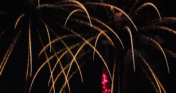 Fireworks show against the background of the night sky