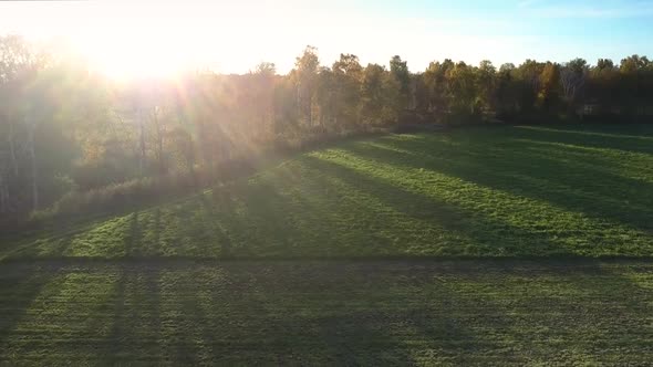 Aerial View Green Field and Sun Rays From Behind Trees