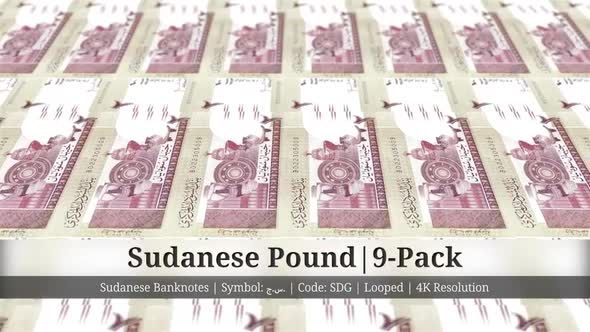 Sudanese Pound | Sudan Currency - 9 Pack | 4K Resolution | Looped