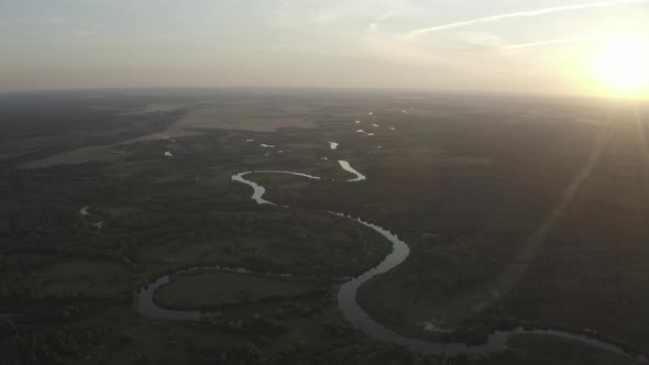 Aerial View Green Forest Woods And River Landscape In Sunny Summer Evening