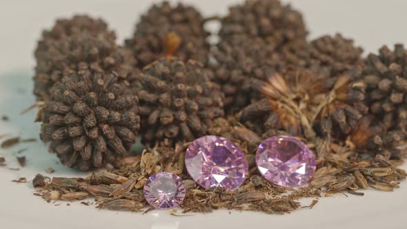 Pink Amethyst Diamonds On A New Economic Crop Seed