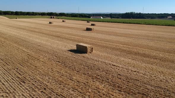 Straw bales in the fiel