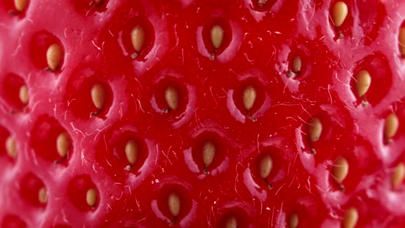 Macro Texture of Real Red Ripe Strawberry Rotating