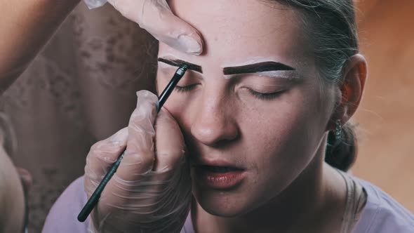 Building the Shape of Eyebrows Tint Procedure of Natural Henna Beauty Salon