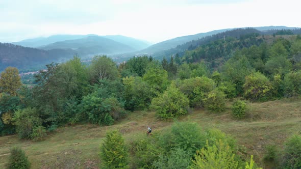 Mountain biker descending hill on a trail with an e-bike along forest, action scene.