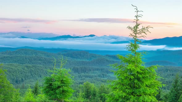 Misty Morning in the Mountains