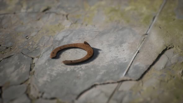 One Old Rusty Metal Horseshoe