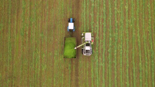 Slow Motion Aerial Shot of Modern Harvester Loading Off Barley on Tractor Trailers