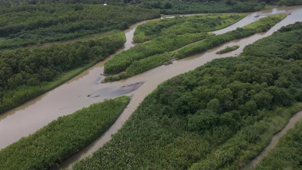 Wetlands surrounding the rio cotos in western Costa Rica. High angle flyover shot