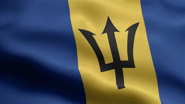 Barbados Flag Seamless Closeup Waving Animation