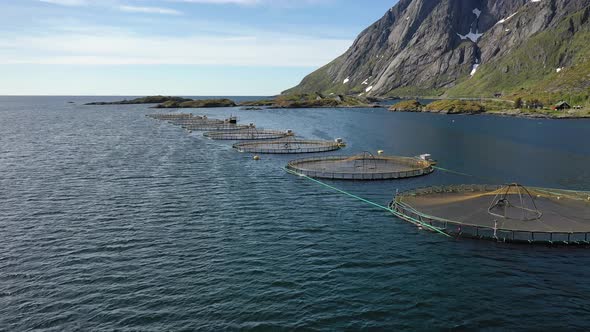 Farm Salmon Fishing in Norway