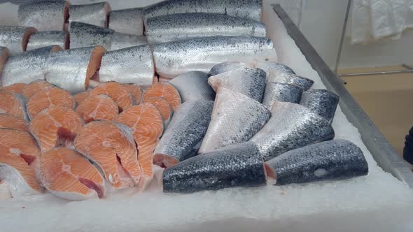 Red Salmon Fish in Ice at Fish Shop Counter