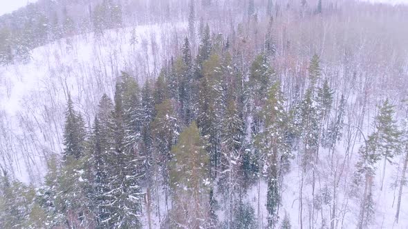 Aerial Video of Mountains and Winter Forest