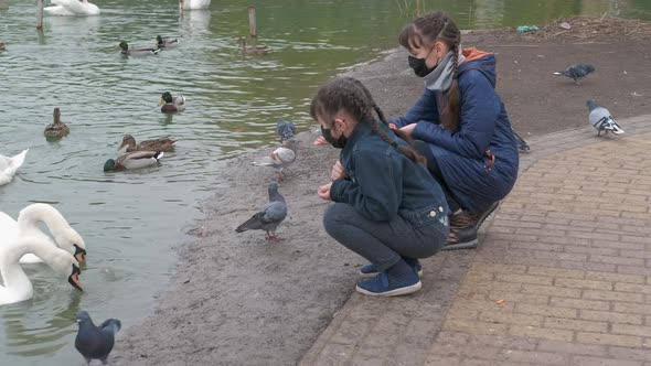 Feed the birds in quarantine. 