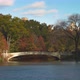 Central Park Lake in the Fall - VideoHive Item for Sale