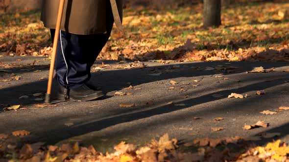 Old Man Walking with Stick in Autumn Park