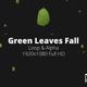 Green Leaves Fall HD - VideoHive Item for Sale