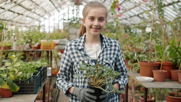 Portrait of Girl Standing Inside Greenhouse Holding Pot Plant Smiling and Looking at Camera