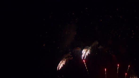 Colorful Firework display at night on sky background