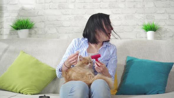 Young Woman Combs a Cat's Long Fur and Sneezes From an Allergy To Wool