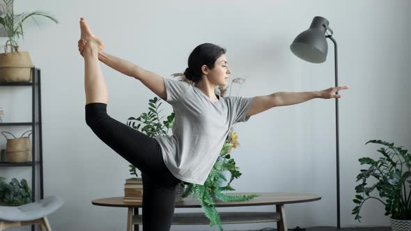 Yoga practice. Indoors portrait of young peaceful woman practising tree asana at home interior