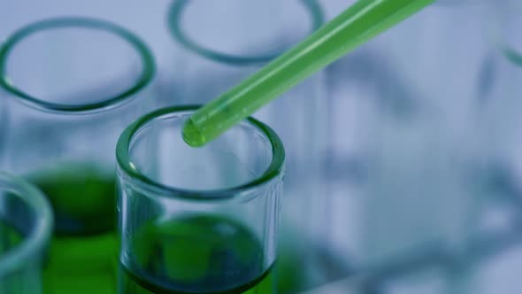 Scientist is preparation the green chemical solution in test tube in the laboratory experiment.