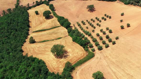 Tuscan Countryside Shot with Drone at Summer Time