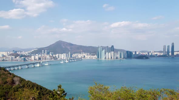 Korea Busan Cityscape and Bridge Sea View