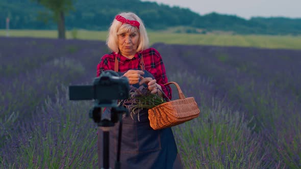 Senior Woman Grandmother Blogger Recording Video Vlog Tutorial in Field of Purple Lavender Flowers