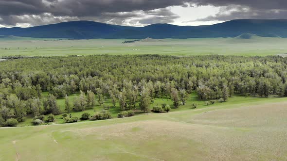 Trees, Forest and Vast Meadow in The Big River in Wide Valley of Asia Geography