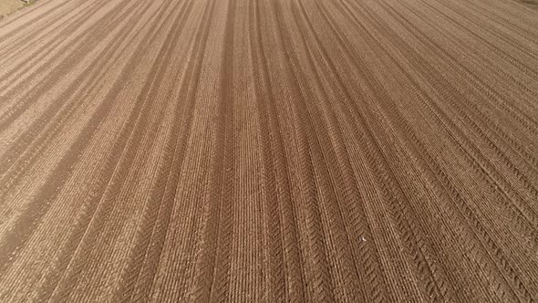 Empty Agriculture Field