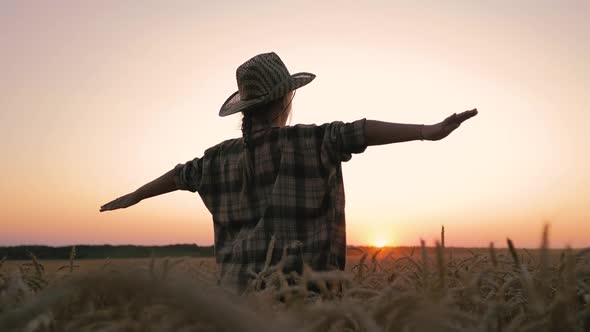 Happy Girl Child Plays Pilot on Wheat Field at Sunset