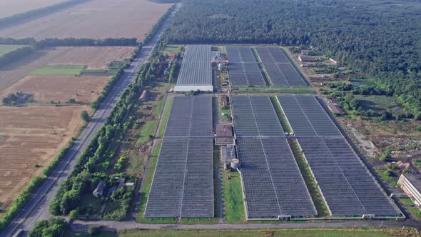 Aerial or Top Shot Above a Greenhouse