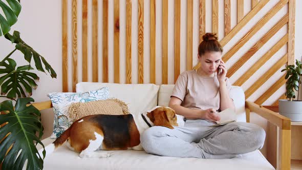 Young Woman Sitting on the Couch and Petting Her Dog Beagle While Talking By Phone