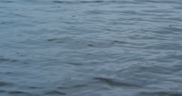 Ripples on the blue surface of the sea