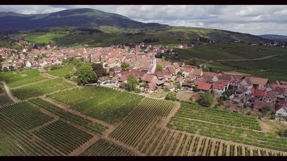 Mittelbergheim Alsace France Town Surrounded By Vineyards in Summer