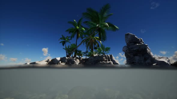 Brown Muddy Water and Palms on Island