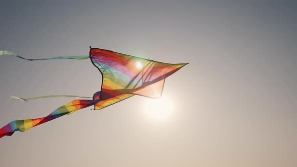 The Sun Illuminates the Kite That Soars in the Sky