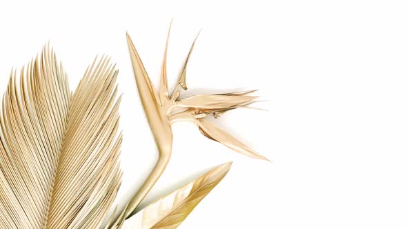 Golden Tropical Palm Leaf and a Strelitzia Flower