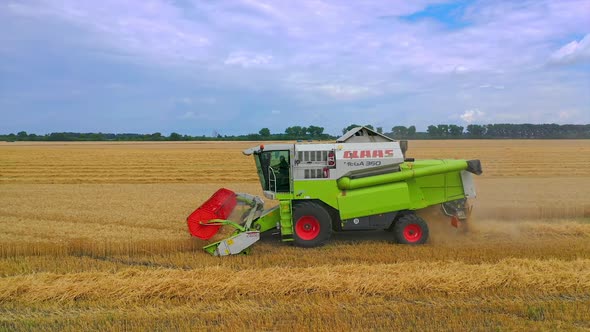 Aerial view of harvester in fields. Flying drone of harvesting gold wheat field