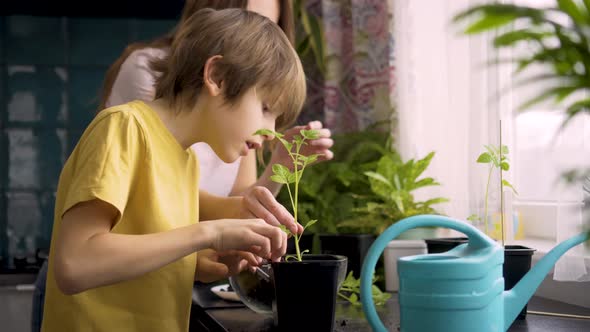 Mother and Son Planting Seedlings at Home